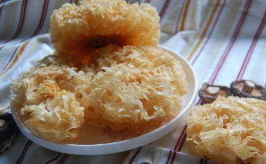 吃銀耳可以降壓嗎?銀耳湯可以豐胸是真的嗎?