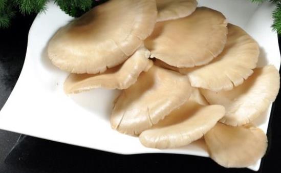 平菇可以降血壓嗎?平菇和什么一起吃好?