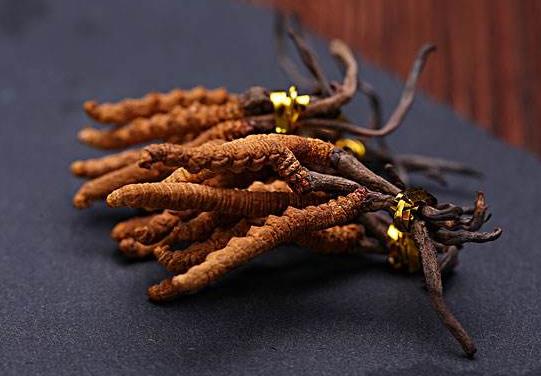一個人一次可以吃多少蟲草?泡完酒的冬蟲夏草能吃嗎