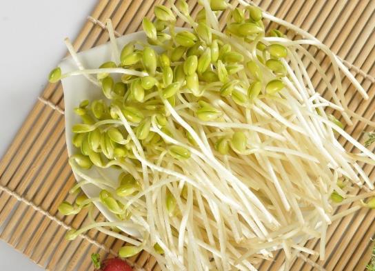 綠豆芽半生半熟能吃嗎?綠豆芽長葉能吃嗎