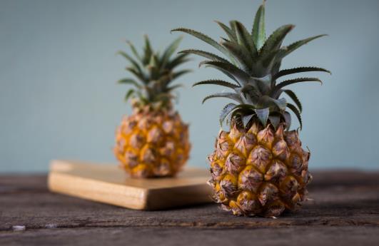 菠蘿有酒味是壞了嗎?對(duì)菠蘿過敏是什么原因