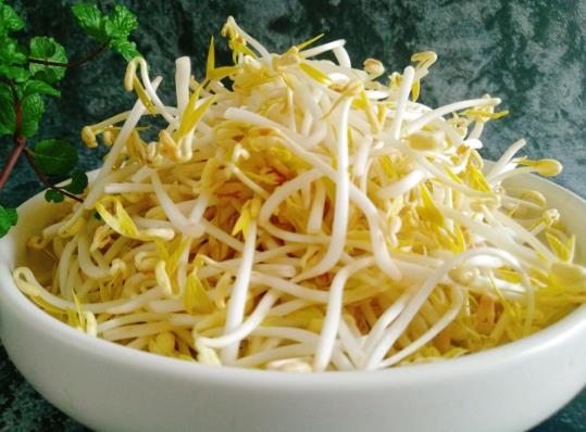 綠豆芽半生半熟能吃嗎?綠豆芽長葉能吃嗎