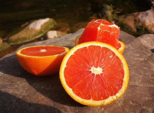 如何辨別愛媛38號果凍橙?愛媛38號果凍橙多少錢一斤