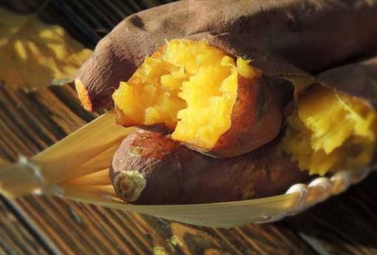 烤紅薯和煮紅薯熱量一樣嗎?為什么街上賣的烤紅薯很甜