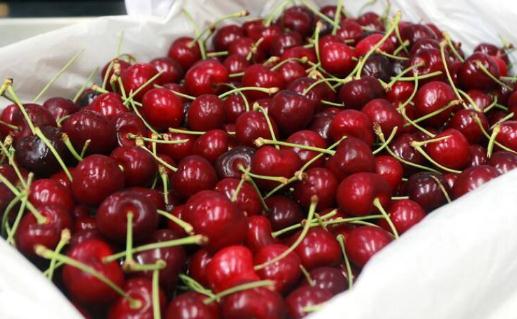 車厘子買哪種顏色的好圖片 車厘子j級和JJ級哪個好