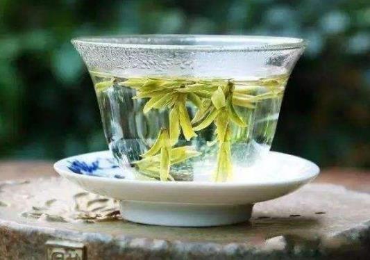 龍井泡茶水多高的溫度合適?龍井一點都不香是什么原因