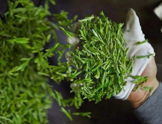 ?龍井茶為什么有些白毛?喝龍井可以減肥嗎