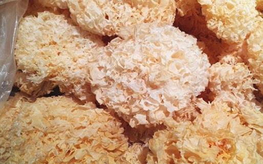 銀耳泡了七八個(gè)小時(shí)還能用嗎 銀耳長(zhǎng)時(shí)間浸泡有毒嗎