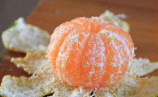 橘子白絲可以泡水嗎 橘子里面的白絲有什么作用