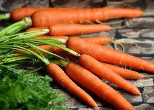 胡蘿卜榨汁是生榨還是消煮熟再榨?胡蘿卜為什么長(zhǎng)白色的根
