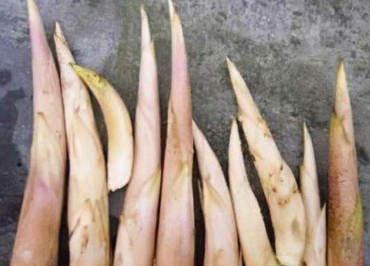 冬筍有毛絨的地方可以吃嗎?冬筍切好需要用水泡嗎