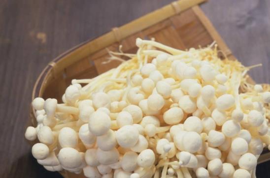 孕婦可以吃白靈菇嗎?孕婦可以長(zhǎng)期吃白靈菇嗎?