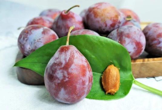 吃多少西梅能促進(jìn)排便?西梅是熱性還是涼性