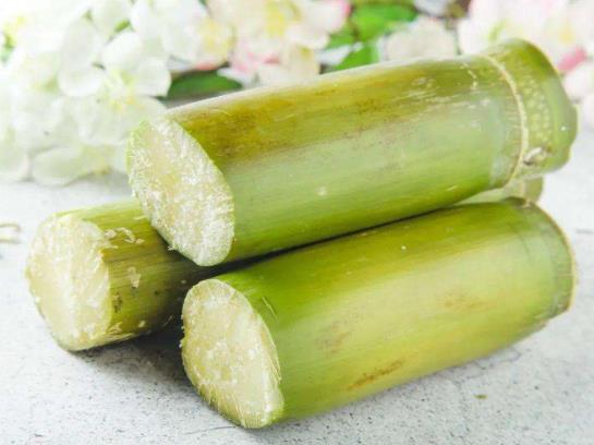 冬天吃甘蔗太涼怎么辦?吃甘蔗舌頭上長(zhǎng)泡是什么原因