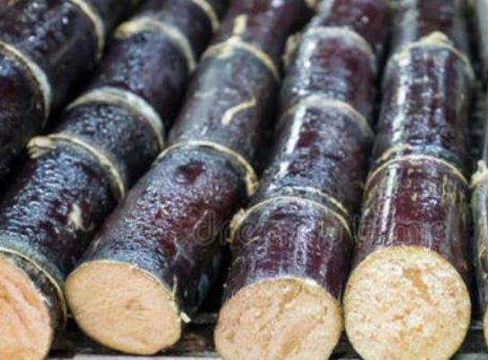 冬天吃甘蔗太涼可以蒸著或煮著吃嗎?甘蔗哪個(gè)地方最甜