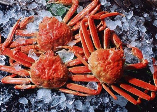 沒熟的螃蟹可以繼續蒸嗎?抱卵蟹的吃法