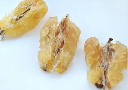 雪蛤是排卵前吃還是排卵后吃?每天吃雪蛤補充雌激素有用嗎