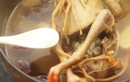 清燉鴿子怎么做有營養?鴿子湯喝多了會不會發胖?