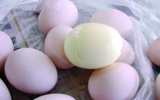 鴿子蛋通常煮多久?鴿子蛋可以用茶葉煮嗎?