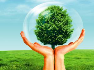 什么是保險公估人?保險公估的發展