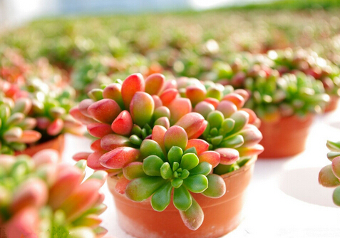 ��֮���c�Ҿ��L��Ĵ���-��֮���ڼҾ��е�����