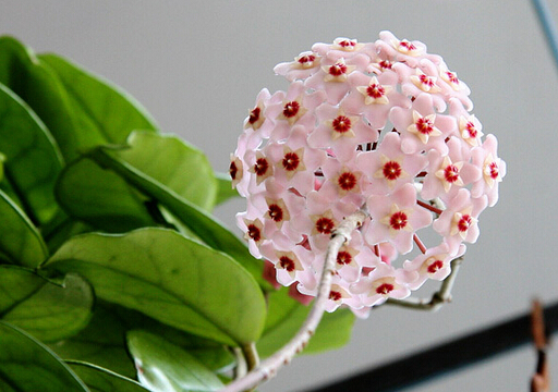 ���m�c�Ҿ��L(f��ng)��Ĵ���-���m���L(f��ng)ˮ�W(xu��)��(y��ng)��