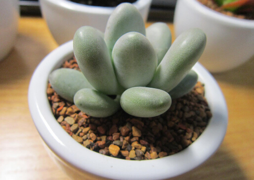 �����˵��Lˮ�W����-�������c�Ҿ��L��Ĵ���