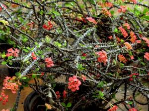 龍骨柱與家居風格的搭配-龍骨柱在家居中的作用