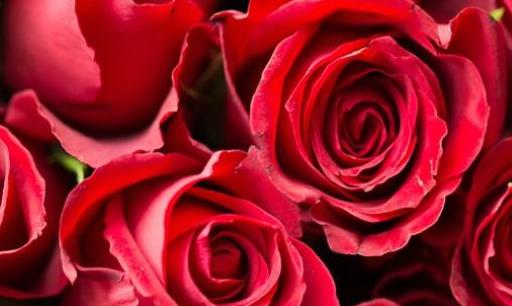 擁有一副完美無瑕的臉是每個女人的追求 美白祛斑的5個小秘方