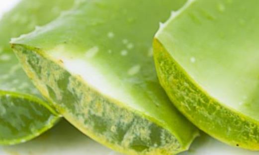 蘆薈膠有什么樣的妙用 使用蘆薈膠可能出現(xiàn)的誤區(qū)