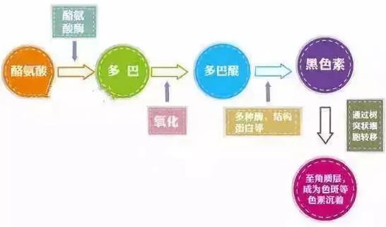 北京伊美爾紫竹醫院:光子嫩膚多久做一次