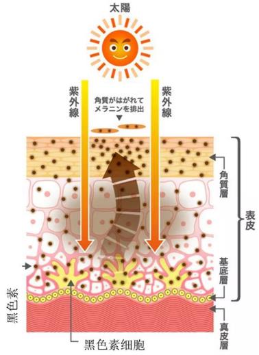 北京伊美爾紫竹醫院:光子嫩膚多久做一次