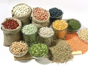 什么食物吃不胖?6種美味食物幫你保持體重