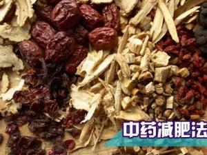 哪種中藥減肥效果好?吃什么中藥可以減肥