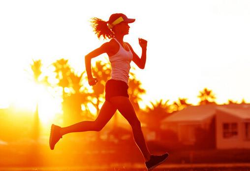 �ܲ���ò�����ȼ֬�����ã��ܲ��p��ÿ���܎׹�����Ч��