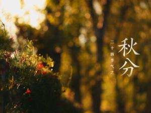 秋分是什么時(shí)候？秋分飲食的五大建議