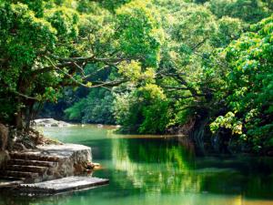 春季傳染病有哪些?怎樣預防春季傳染病