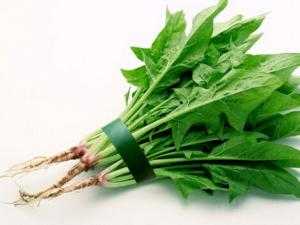 吃菠菜可降低結腸癌風險-菠菜的作用