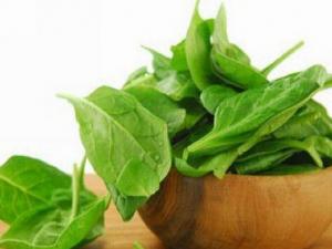 經常吃菠菜可以有效預防老年癡呆癥