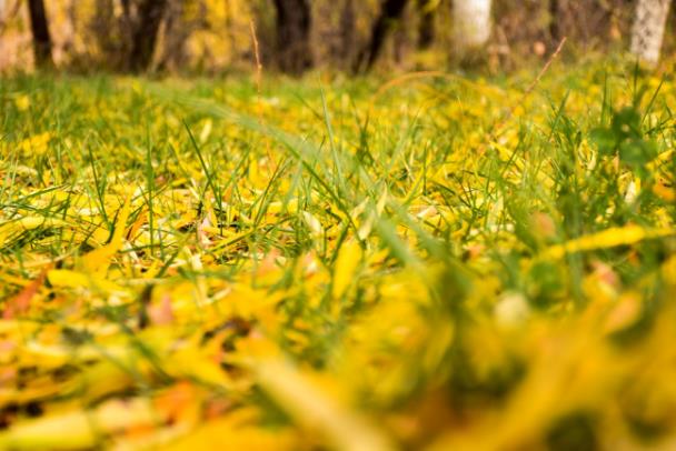 夏秋之際防便秘,清好清暢潤腸膠囊可以常備