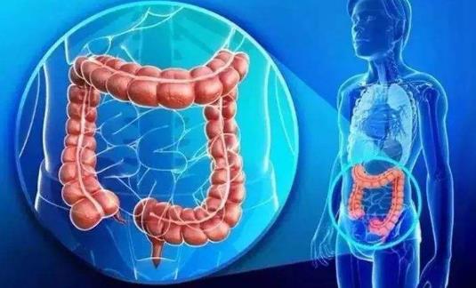 患直腸癌有哪些癥狀?直腸癌有哪些分類?