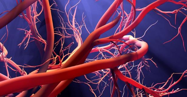 老人血管堵塞怎么治療好?怡養醫院為您解答