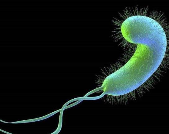 幽門螺桿菌可以不治嗎?和有幽門螺桿菌的人接吻了咋辦