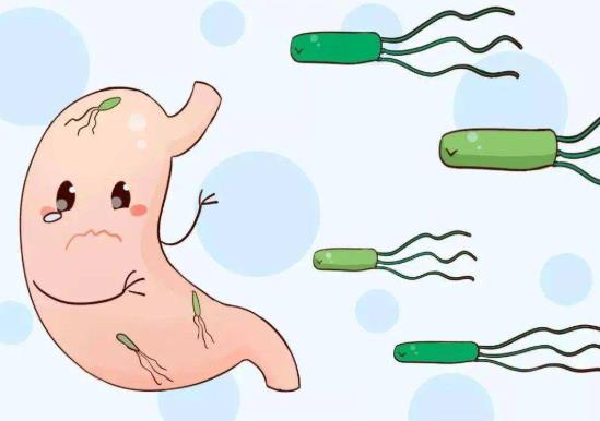 感染幽門螺桿菌易患哪些疾病?和有幽門螺桿菌的人親嘴百分百傳染嗎
