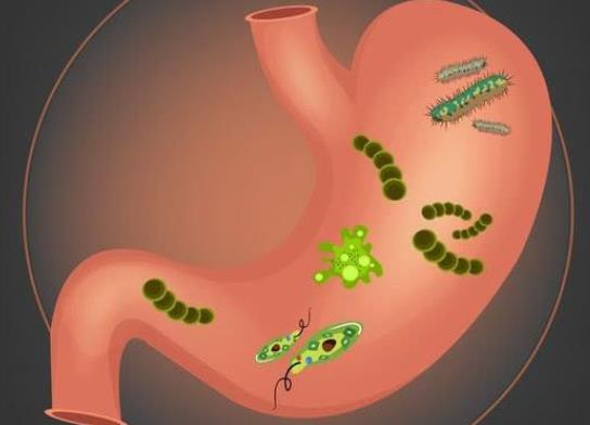 幽門螺桿菌可以自愈嗎?幽門螺桿菌會(huì)傳染嗎