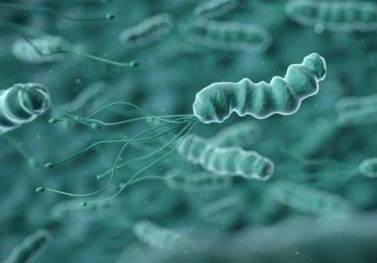 幽門螺桿菌可以自愈嗎?幽門螺桿菌會(huì)傳染嗎