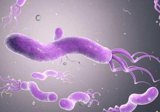 能和幽門螺旋桿菌的人睡一個(gè)床上嗎?幽門螺旋桿菌陰性正常嗎