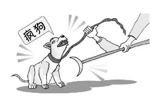 流浪狗咬11學生 哪些情況需要注射狂犬疫苗