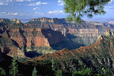 世界上最長的裂谷帶是什么?東非大裂谷的形成原因