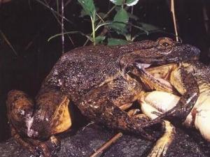 �������������� ���޾������_(d��)3����